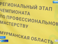 35 судоремонтный завод ОСК принял участие в торжественном открытии регионального этапа чемпионата 